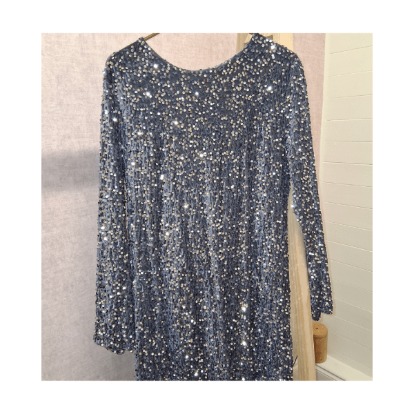 Silver Sequin Mini Dress