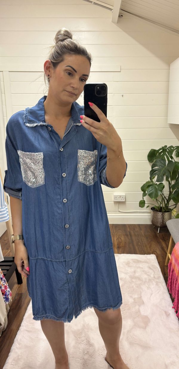 Sofia Denim Dress